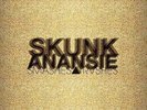 SKUNK ANANSIE-SMASHES AND TRASHES-VINYL LP4  NEU