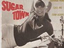 Nancy Sinatra Sugar Town Vinyl Single 7inch Reprise Records