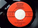 THE INTERPRETERS - GIVE ME LIFE - IN ELVITRUE SLEEVE - GIRL GROUP V.RARE 45 EX