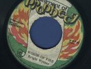 1597 BRGHT WYNTER-WORDS OF FIRE-FULLFILMENT OF PROPHECY-REGGAE 45 7