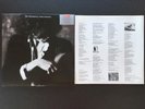 Waterboys - This Is The Sea (Vinyl LP 1997 Import Limited 180g EMI 100)