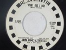 Northern Soul 45 - Anita Humes & The Essex - What Did I Do? - Roulette - mp3