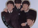 BEATLES Hear The Beatles Tell All VEE JAY LP PICTURE DISC VG+/VG++