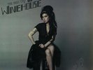Amy Winehouse The Best Of,Mark Ronson,Limited Edition MARBLE Vinyl Album
