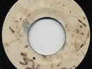 EASE UP / YOU GONNA FEEL IT   BLEECHERS ( BOSS 69 *UPSETTER* Skinhead Reggae ) ?