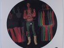 JIMI HENDRIX The Interview RHINO LP NM PICTURE DISC