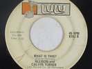 Northern/Deep Soul 45 - Allison & Calvin Turner - What Is This? - Lulu - mp3