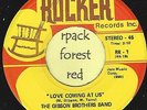 THE GIBSON BROTHERS BAND - Love Coming At Us  - ROCKER -  Detroit Soul   7