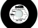 TERRY TEENE HALLOWEEN GARAGE ‘CURSE OF THE HEARSE”/PUSSY GALORE” NM Single-45