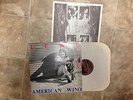 The Lewd American Wino LP Original on ICI records
