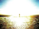 Anathema - We're Here Because We're Here (Vinyl LP / Album) (New)