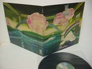 TAI PHONG Windows LP Vinyl JAPAN WARNER PIONEER P-10364W ^