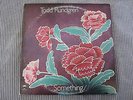 TODD RUNDGREN   SOMETHING / ANYTHING  2 VINYL RECORDS / 2 LP'S + INSERT W/LYRICS