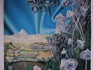 MAGIC MUSHROOM BAND: Spaced Out LP (UK, nearly new ) Rock & Pop