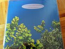 The Go-Betweens – 1978-1990 ... Vinyl ... Doppel LP ... TOP und RAR 