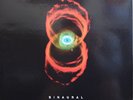 pearl jam binaural 2lp