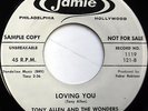 TONY ALLEN & The WONDERS 45 Loving You / Looking...JAMIE lbl promo DOO WOP e5663