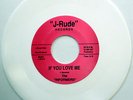 INFORMERS 45 If You Love Me / Hard Way To Go NEAR MINT Doo Wop WHITE WAX mg690