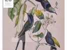 Susumu Yokota ?– Sakura SEALED Leaf ?BAY 13V 2xLP VINYL REISSUE W CD