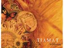TIAMAT-WILDHONEY (RE-ISSUE 2016)-VINYL LP CENTURY ME NEW