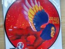 David Bowie The Man Who Sold The World Picture Disc LP RSD 2016 FREE SHIPPING