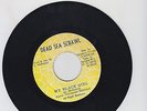 DEAD SEA SCRAWL/ MY BLACK GIRL- CONSIE CONSTANTINE  MC NICHOLS (REGGAE ROOTS 7