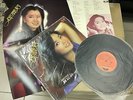 Theresa Teng / Teresa Teng chinese record LP