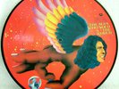 David Bowie - The Man Who Sold The World - Picture Disc 12 Inch - RSD 2016