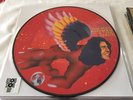 David Bowie Picture disc LP The man who sold the world FACTORY SEALED RSD 2016