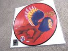 DAVID BOWIE PICTURE DISC THE MAN WHO SOLD THE WORLD RSD 2016 RECORD STORE DAY LP