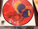 RSD 2016 SEALED LP DAVID BOWIE- MAN WHO SOLD THE WORLD PICTURE DISC