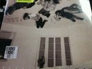Fleetwood Mac RSD Vinyl LP The Alternate TUSK Record Store Day 2016
