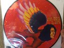 David Bowie The Man Who Sold The World  Picture Disc LP Record Store Day 2016
