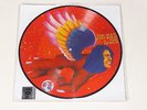 POST TODAY David Bowie The Man Who Sold The World RSD 2016 Picture Disc Vinyl LP