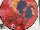 DAVID BOWIE  The man who sold the world   LP PICTURE DISC /  RSD 2016