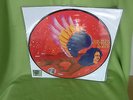 David Bowie The Man Who Sold The World Picture Record Store Day 2016 LP Vinyl