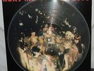 ROXY MUSIC BRYAN FERRY 1979 NUDES PICTURE DISC LP MANIFESTO NEAR MINT NR VPI