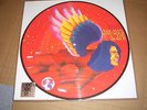 DAVID BOWIE THE MAN WHO SOLD THE WORLD LP PICTURE DISC VINYL RECORD STORE DAY
