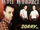 evil conduct,sorry no. vinyl lp,oi,isd,skinhead,rock o rama,