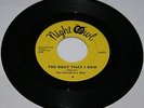60's Garage Punk/ Wanderer's Rest/ 