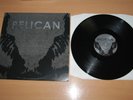 PELICAN RARE US 12