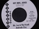 MR. LEE & FRANK ANDRADE FIVE: Hey Mrs. Jones / Let The Four Winds Blow 45 (dj,