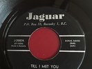 THE CLASSICS     RARE Canadian  45 rpm     TILL I MET YOU