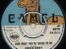 GIRL WHAT YOU'RE DOING TO ME   OWEN GRAY & The RUDIES ( 1969 Skinhead Reggae ) ?