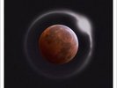Ray LaMontagne - Ouroboros (Warm Red Vinyl) (Limited Edition Vinyl) (New)