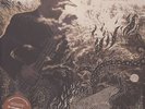 RICH ROBINSON - the ceaseless sight. 2lp / cd. THE BLACK CROWES