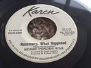 RICHARD POPCORN WYLIE  ROSEMARY WHAT HAPPENED KAREN DEMO 100% ORIGINAL