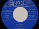THE RAINBOWS: They Say / Minnie RAMA Doo Wop 45 Scarce HEAR IT