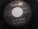 RARE Garage Rock 7