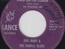 the PURPLE BLUES hold on I'm coming 45 wild NORTHERN SOUL mod DEEP FUNK hear ?